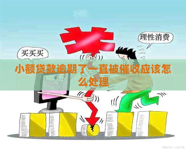 小额贷款逾期了一直被应该怎么处理