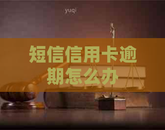 短信信用卡逾期怎么办