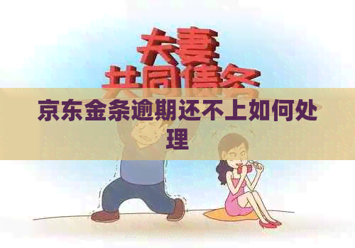 京东金条逾期还不上如何处理