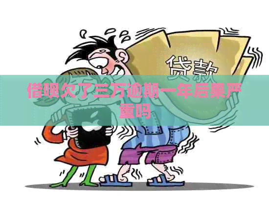 信用卡欠了三万逾期一年后果严重吗