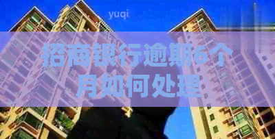 招商银行逾期6个月如何处理