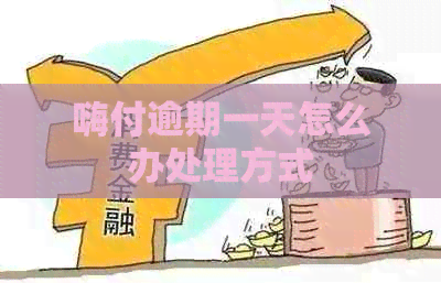 嗨付逾期一天怎么办处理方式