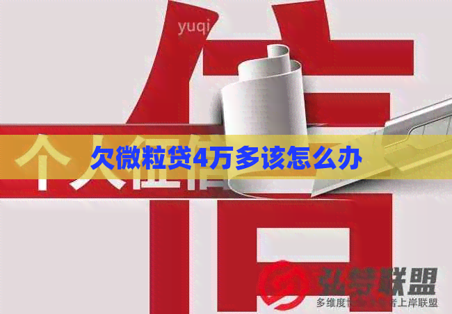 欠微粒贷4万多该怎么办