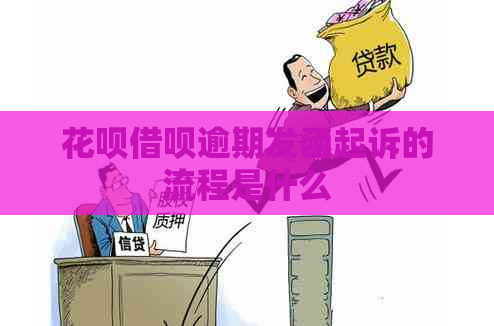 白条信用卡逾期发函起诉的流程是什么