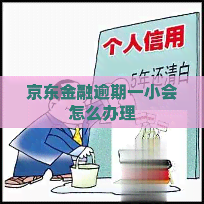 京东金融逾期一小会怎么办理