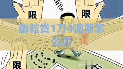 微粒贷1万4逾期怎么办