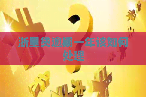 浙里贷逾期一年该如何处理