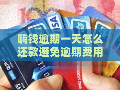 嗨钱逾期一天怎么还款避免逾期费用