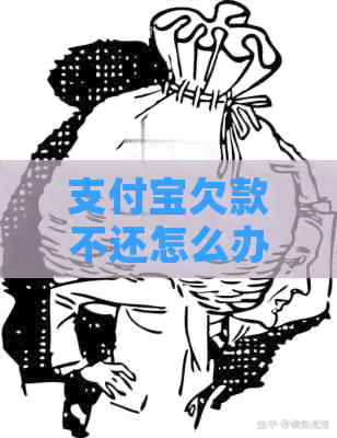 信用卡欠款不还怎么办
