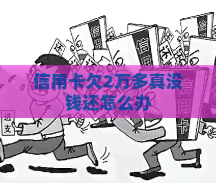 信用卡欠2万多真没钱还怎么办