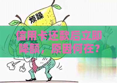 信用卡还款后立即降额，原因何在？如何应对？