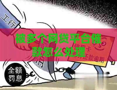 被多个网贷平台催款怎么处理