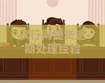农行网捷贷逾期处理经验