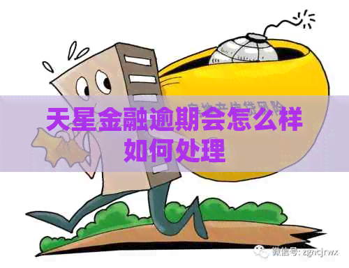天星金融逾期会怎么样如何处理