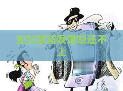 信用卡白条信用卡还不上