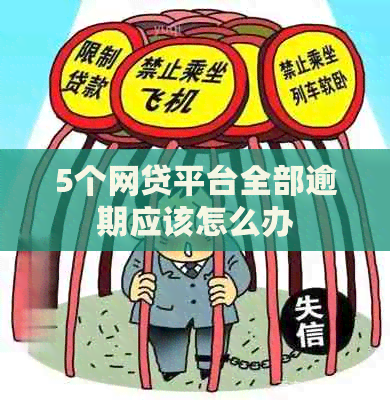 5个网贷平台全部逾期应该怎么办