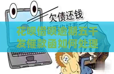 白条信用卡逾期五千发催款函如何处理