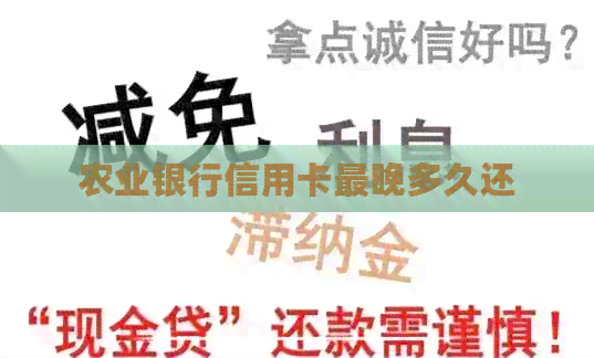 农业银行信用卡最晚多久还