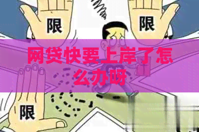 网贷快要上岸了怎么办呀
