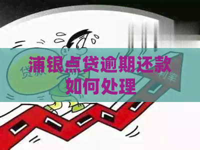 浦银点贷逾期还款如何处理