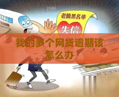 我的多个网贷逾期该怎么办
