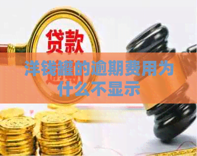 洋钱罐的逾期费用为什么不显示