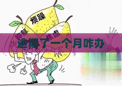 逾期了一个月咋办
