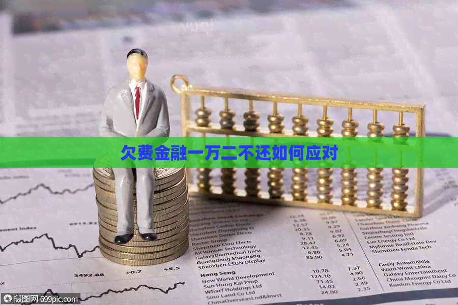 欠费金融一万二不还如何应对