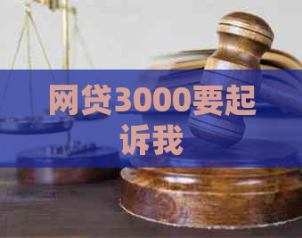 网贷3000要起诉我