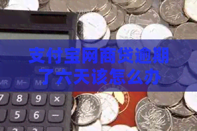 信用卡白条贷逾期了六天该怎么办