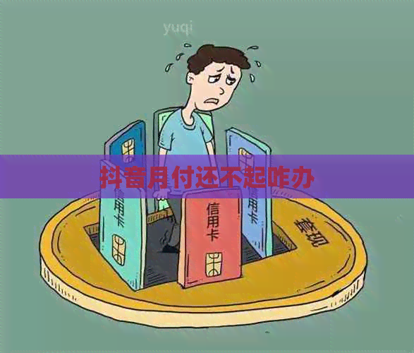 抖音月付还不起咋办