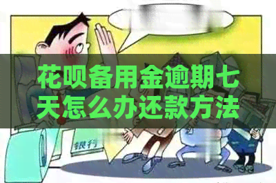 白条备用金逾期七天怎么办还款方法有哪些