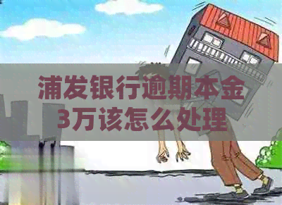 浦发银行逾期本金3万该怎么处理