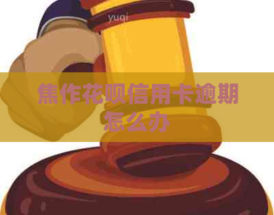 焦作白条信用卡逾期怎么办