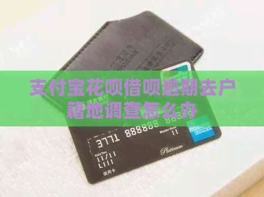 信用卡白条信用卡逾期去户籍地调查怎么办