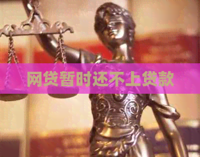 网贷暂时还不上贷款