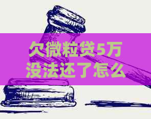 欠微粒贷5万没法还了怎么办