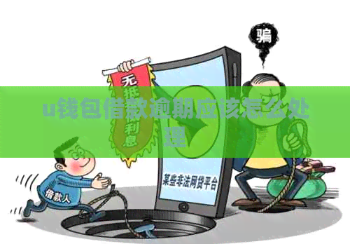 u钱包借款逾期应该怎么处理