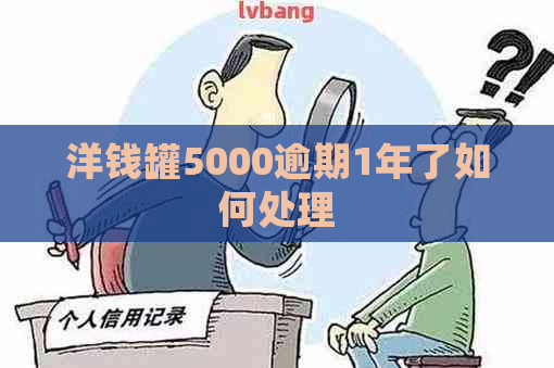 洋钱罐5000逾期1年了如何处理