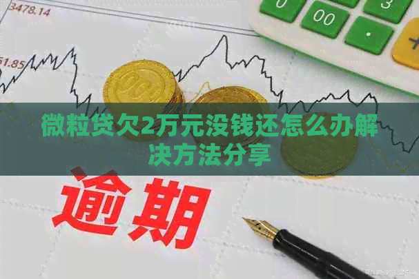 微粒贷欠2万元没钱还怎么办解决方法分享