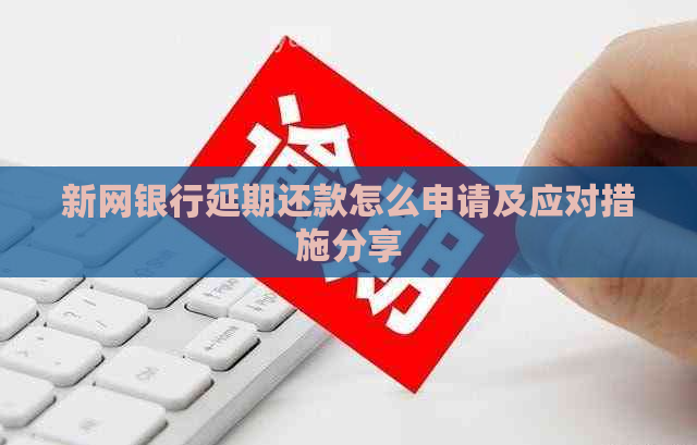 新网银行延期还款怎么申请及应对措施分享