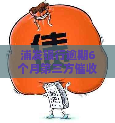 浦发银行逾期6个月第三方机构