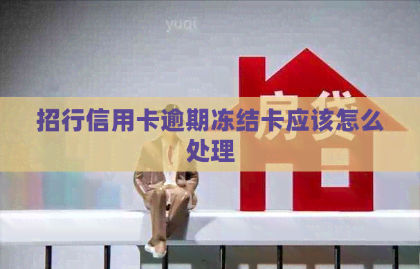 招行信用卡逾期冻结卡应该怎么处理
