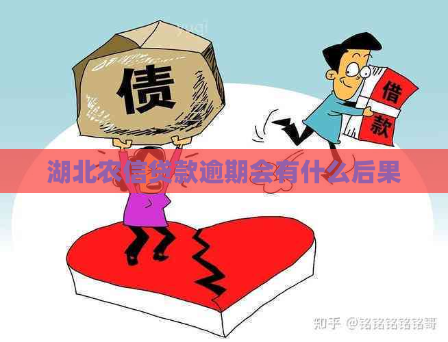 湖北农信贷款逾期会有什么后果