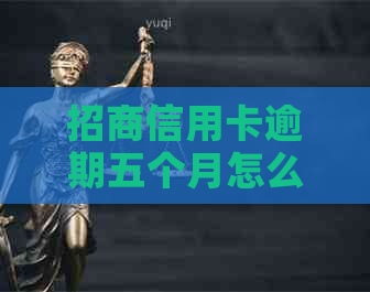 招商信用卡逾期五个月怎么办