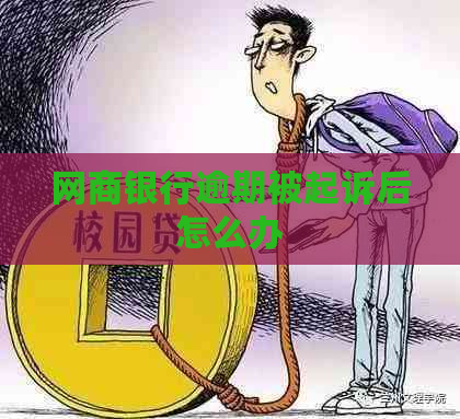 白条银行逾期被起诉后怎么办