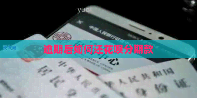 逾期后如何还白条分期款