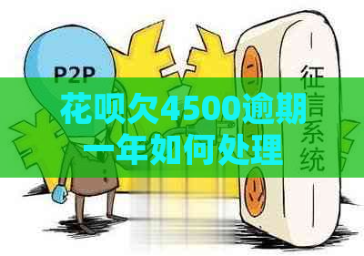 白条欠4500逾期一年如何处理