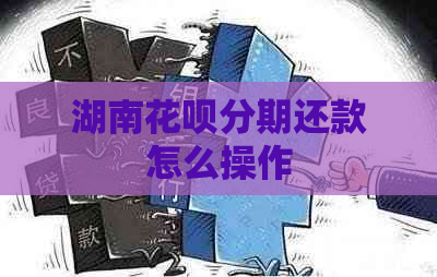 湖南白条分期还款怎么操作