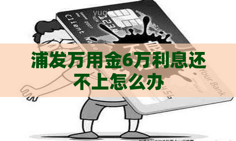 浦发万用金6万利息还不上怎么办